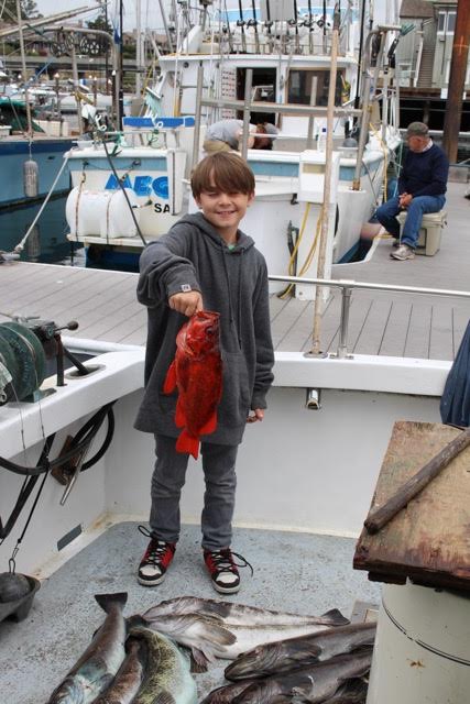 carter with vermillion