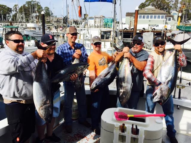 Gill bluefin group Gill bluefin group