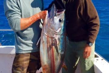 Zack-Bruce and bluefin
