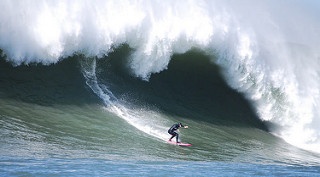 24197090094_cf5168526b_n Surf