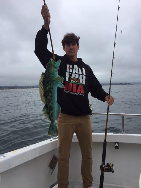No license Steve lingcod No license Steve lingcod