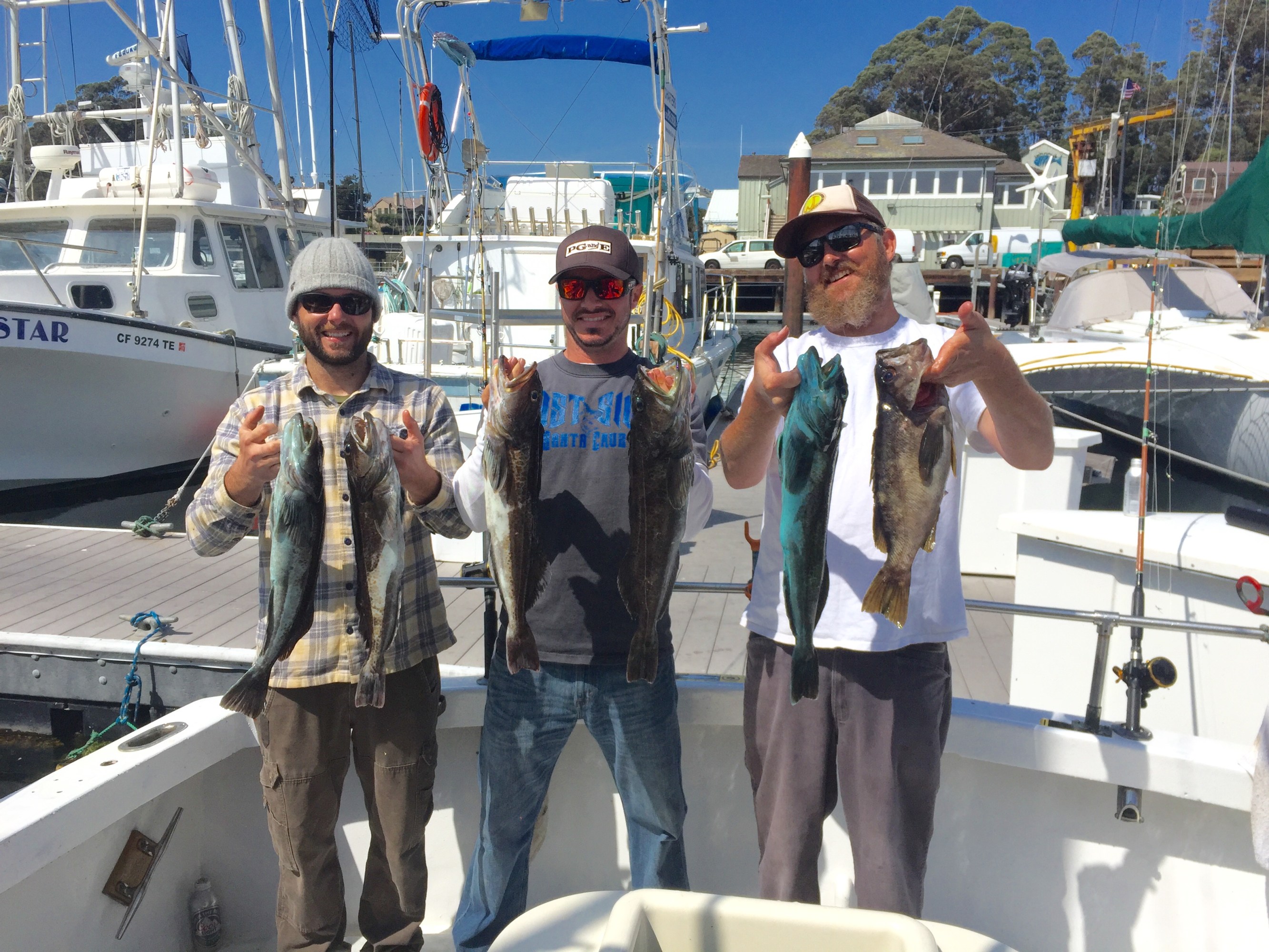 Kolby, John, Cold Lings