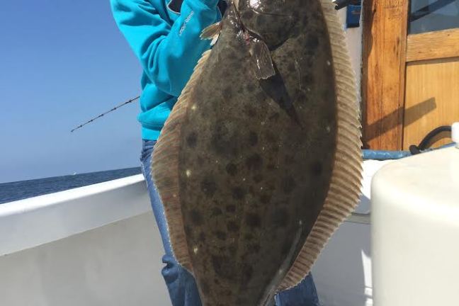 Randy 25lb halibut