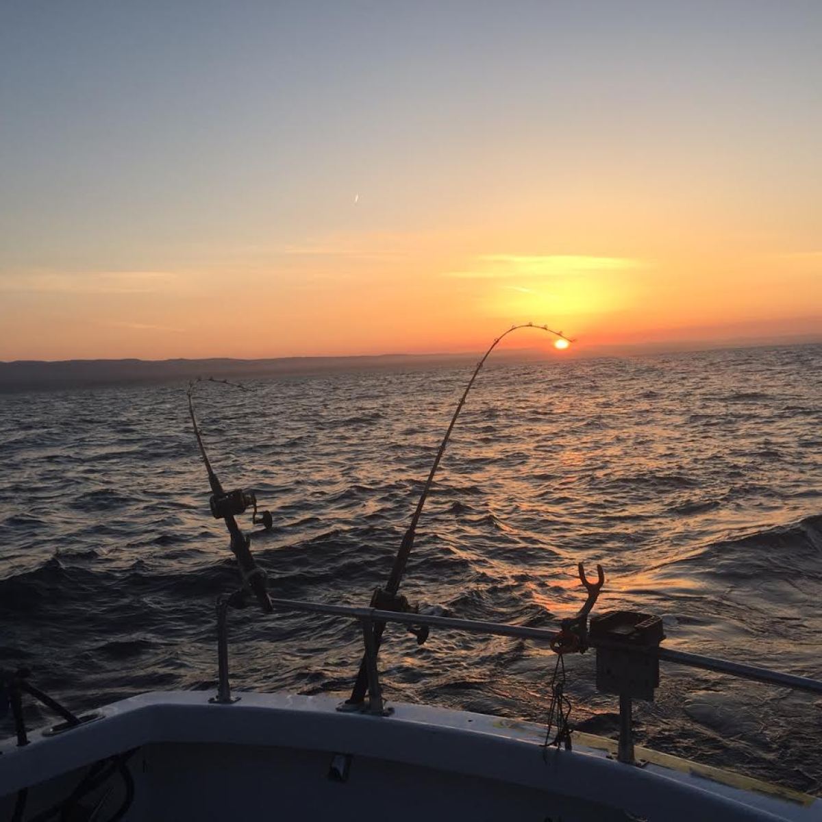 sunrise, salmon day, bent rods