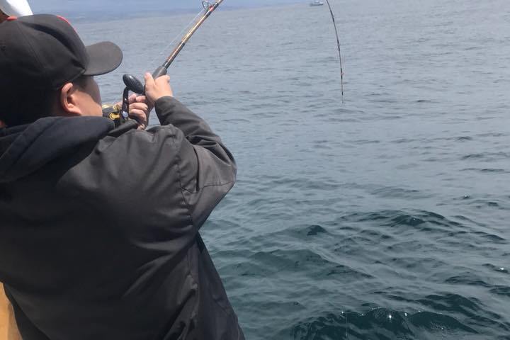 Bent rod for rockfish