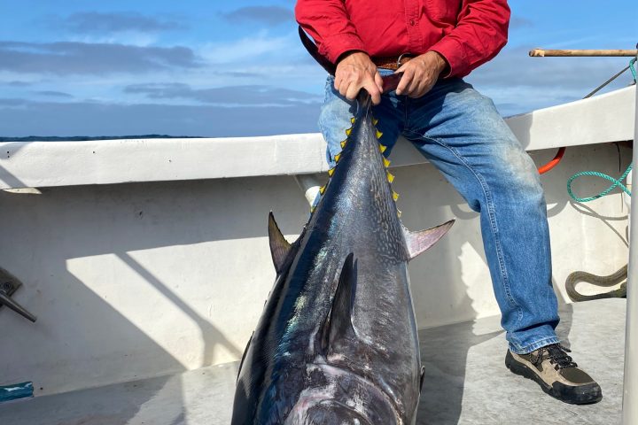 a person holding a fish