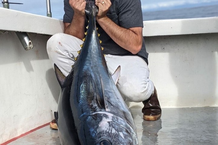 a man holding a fish in the water