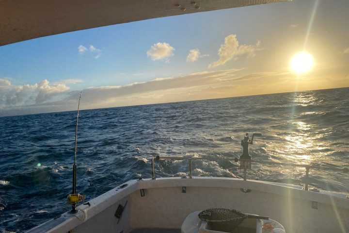 a view of a large body of water