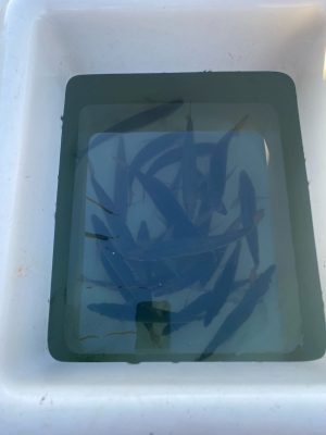 a microwave oven sitting on top of a car