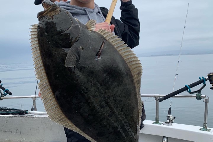 a person holding a fish on a boat