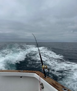 a body of water next to the ocean