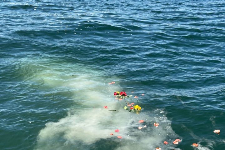 Flowers and petals floating on ocean water with white foam nearby.
